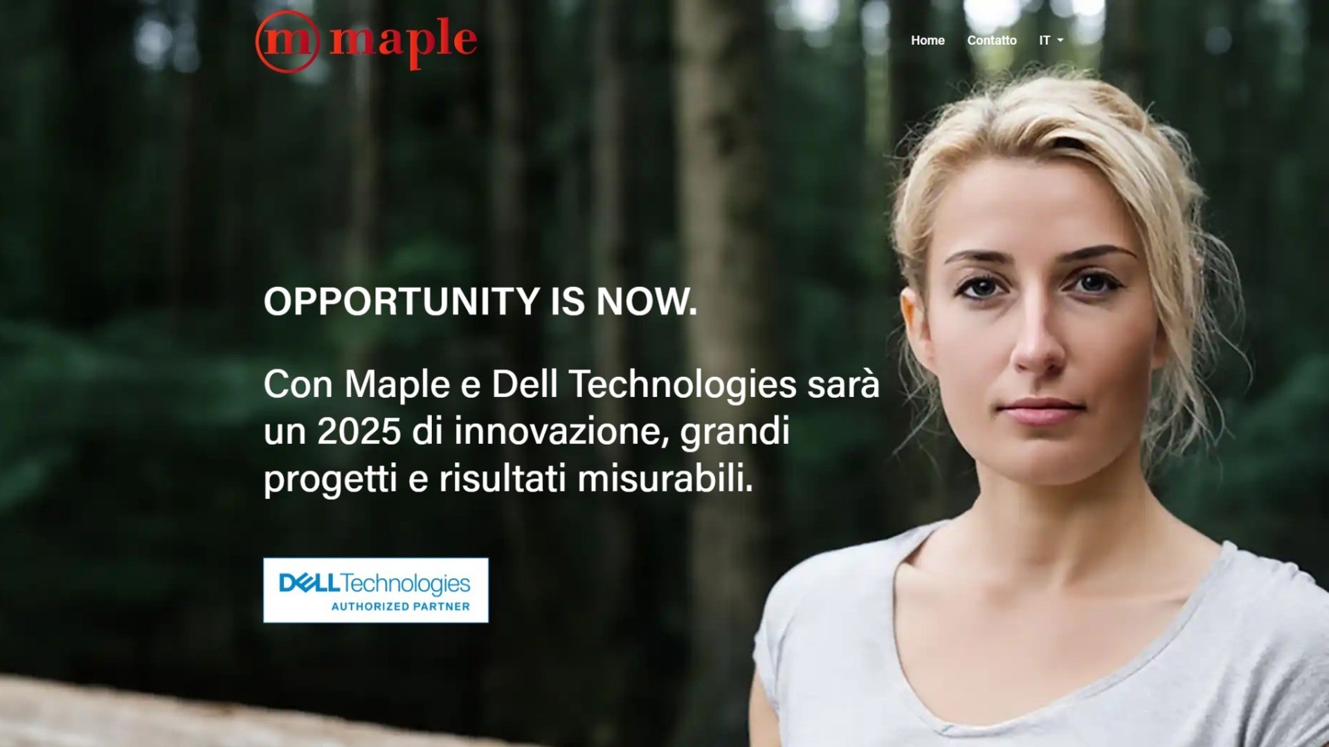 Screenshot Dell.Maple.It Screenshot Dell.Maple.It